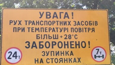 "В этом городе и области есть власть?!" - николаевский активист призывает прекратить пускать в город фуры в жару | Корабелов.ИНФО image 1