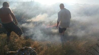 В Лупарево горела сухая трава, до приезда пожарных дачники самостоятельно пытались справиться с огнем | Корабелов.ИНФО образ 1