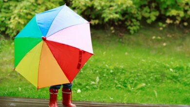 На Николаевщину надвигается холодный атмосферный фронт: синоптики обещают дожди и ветер | Корабелов.ИНФО