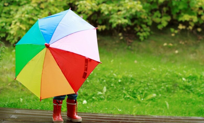 На Николаевщину надвигается холодный атмосферный фронт: синоптики обещают дожди и ветер | Корабелов.ИНФО