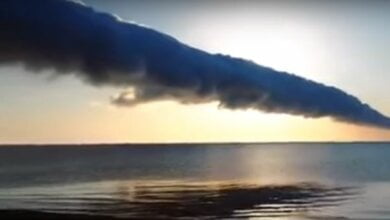 В Херсонской области сняли необычное природное явление. ВИДЕО | Корабелов.ИНФО