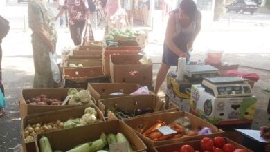 Против стихийной торговли в Корабельном районе провели очередной рейд: составлено 6 админпротоколов | Корабелов.ИНФО