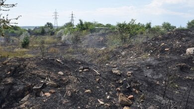 На відкритих територіях у Вітовському районі сталися масштабні пожежі | Корабелов.ИНФО