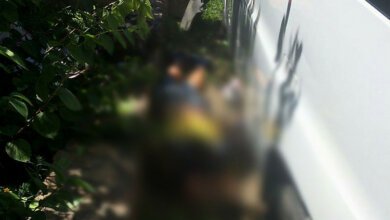 На глазах 16-летней девочки автомобиль переехал ее матери голову, в результате чего она скончалась на месте | Корабелов.ИНФО image 1