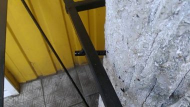 "От так "бізнесмени" використовують дерева", - возмущенный житель Корабельного района взывает к экологам | Корабелов.ИНФО image 1