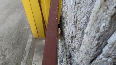 "От так "бізнесмени" використовують дерева", - возмущенный житель Корабельного района взывает к экологам | Корабелов.ИНФО image 3