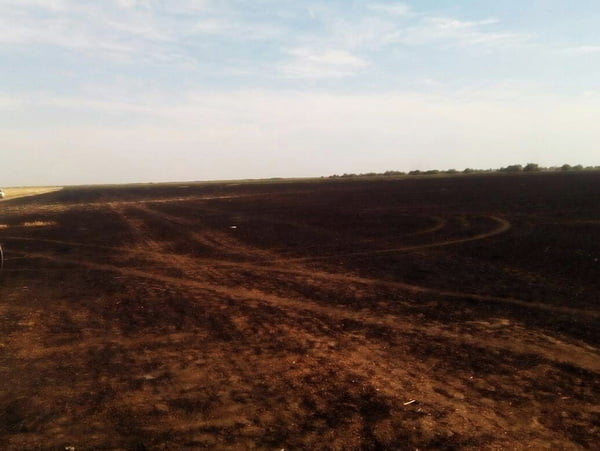 Спасатели Корабельного и Ингульского районов ликвидировали пожар комбайна и стерни на площади 4,5 Га | Корабелов.ИНФО image 2