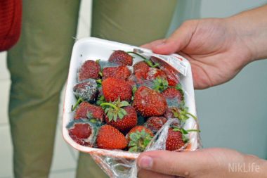 В «Таврии В» в Николаеве "скупили" просрочки на 8 тысяч гривен (видео) | Корабелов.ИНФО image 4