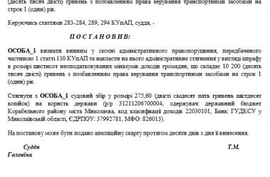 "Кому-то еще горе принесет". Корабельный райсуд отказал в пересмотре дела водителя, пьяным сбившего парня насмерть (Видео) | Корабелов.ИНФО образ 35