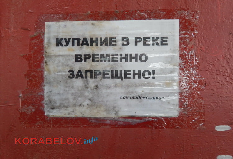 "Какие претензии?" На пляже в Корабельном районе условий для отдыха - ноль | Корабелов.ИНФО image 14