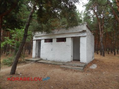 "Какие претензии?" На пляже в Корабельном районе условий для отдыха - ноль | Корабелов.ИНФО image 17