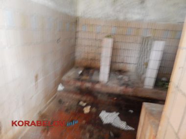 "Какие претензии?" На пляже в Корабельном районе условий для отдыха - ноль | Корабелов.ИНФО image 18