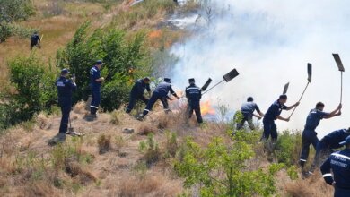 Снова масштабный пожар в Витовском районе: огонь перекинулся с сухой травы на жилой сектор | Корабелов.ИНФО image 3