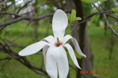 "И коллектив сплачивается, и страну познаем". Портовики ГП "СК "Ольвия" имеют возможность и умеют хорошо отдыхать | Корабелов.ИНФО image 8