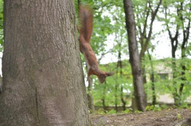 "И коллектив сплачивается, и страну познаем". Портовики ГП "СК "Ольвия" имеют возможность и умеют хорошо отдыхать | Корабелов.ИНФО image 33