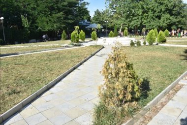 Во вновь открытом сквере в Корабельном районе - засохшие деревья | Корабелов.ИНФО образ 3