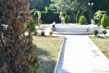 Во вновь открытом сквере в Корабельном районе - засохшие деревья | Корабелов.ИНФО image 4