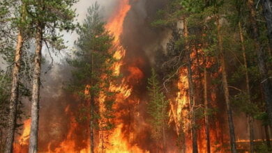 Це тільки початок спекоти, а вже 44 пожежі у Корабельному районі. "Будьте обережні!" - попереджають рятувальники | Корабелов.ИНФО image 1