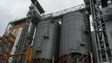 В одном из портов Николаева изъяли зерна на 46 млн. - его хотели незаконно экспортировать | Корабелов.ИНФО