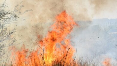 В Корабельном и Ингульском районах произошли масштабные пожары сухой травы | Корабелов.ИНФО image 1