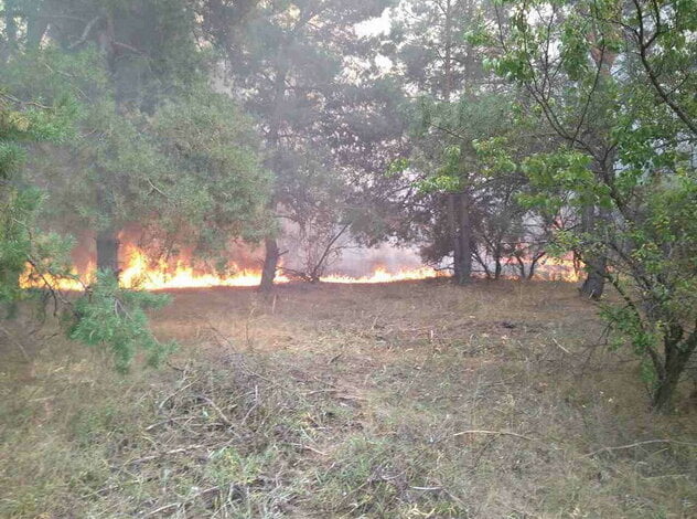В Галицинове сталася масштабна пожежа на відкритій території, зачепило і ліс | Корабелов.ИНФО image 1