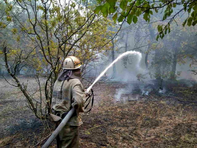 В Галицинове сталася масштабна пожежа на відкритій території, зачепило і ліс | Корабелов.ИНФО image 3