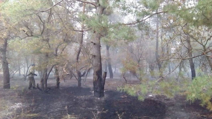 В Галицинове сталася масштабна пожежа на відкритій території, зачепило і ліс | Корабелов.ИНФО image 4