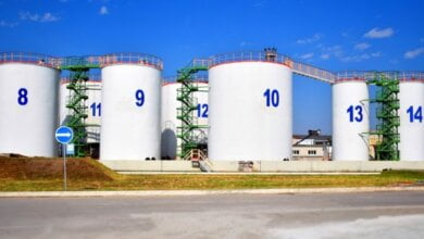 Порт "Ника-Тера" приступил к перевалке нового вида грузов | Корабелов.ИНФО image 1