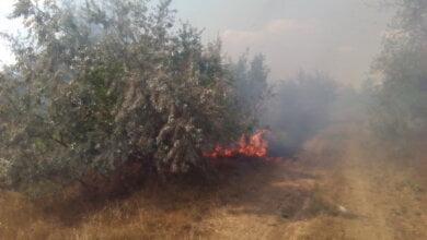 Спасатели Корабельного - о предупреждении пожаров: запрещено ходить в лес, разводить костры, сжигать стерню... | Корабелов.ИНФО