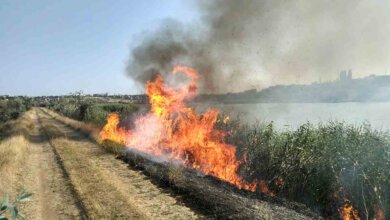 На вихідних у  Вітовському районі зафіксовано 7 випадків загорянь водночас | Корабелов.ИНФО