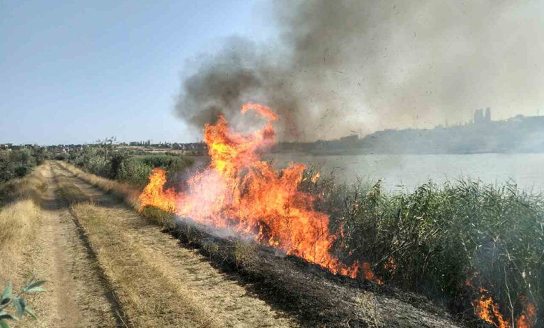 На вихідних у  Вітовському районі зафіксовано 7 випадків загорянь водночас | Корабелов.ИНФО