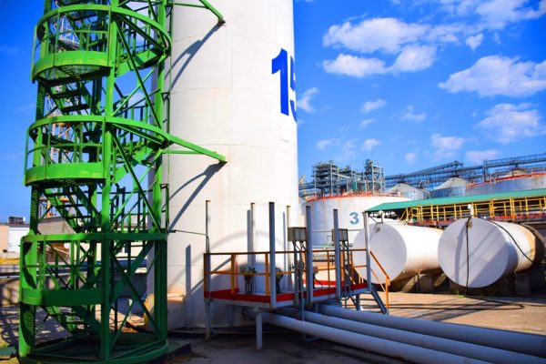 Порт "Ника-Тера" приступил к перевалке нового вида грузов | Корабелов.ИНФО image 2