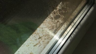 Выливает фекалии на окна, бросается окурками: жители Корабельного несколько лет страдают от неадекватного соседа | Корабелов.ИНФО