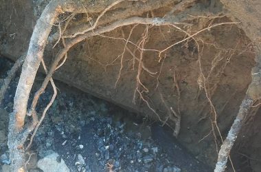 "Управленческий дебилизм": новый асфальт в Корабельном районе не простоял и недели: его вскрыли для ремонта труб | Корабелов.ИНФО image 2