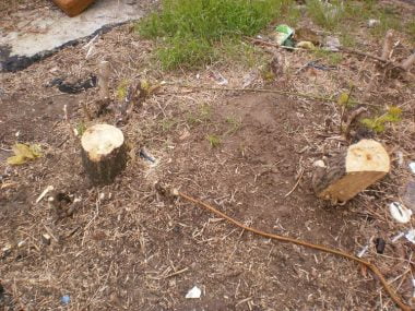 «Церкву Московського Патріархату можна будувати на брехні?» - 2 | Корабелов.ИНФО image 4