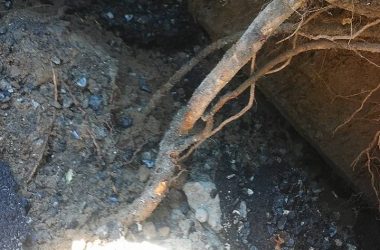 "Управленческий дебилизм": новый асфальт в Корабельном районе не простоял и недели: его вскрыли для ремонта труб | Корабелов.ИНФО image 7