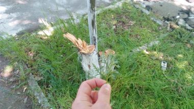 «Церкву Московського Патріархату можна будувати на брехні?» - 2 | Корабелов.ИНФО image 2