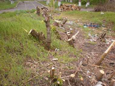 «Церкву Московського Патріархату можна будувати на брехні?» - 2 | Корабелов.ИНФО image 1