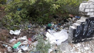 "С таким подходом у нас не только холера, но и чума может быть", - житель Корабельного района | Корабелов.ИНФО image 1