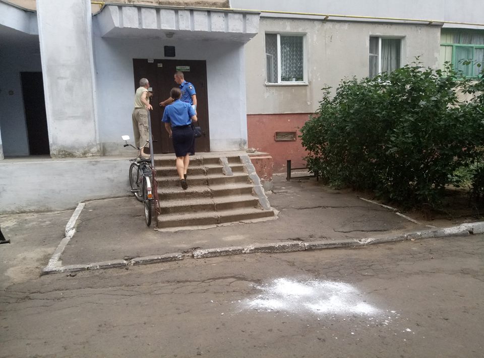 В Корабельном районе неизвестные выбросили бездомную собаку с 9-го этажа | Корабелов.ИНФО image 3