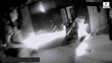 П'яниці, що травили собаку на перехожих у Корабельному, ще й побили патрульного, намагаючись витягти в нього пістолет | Корабелов.ИНФО image 1