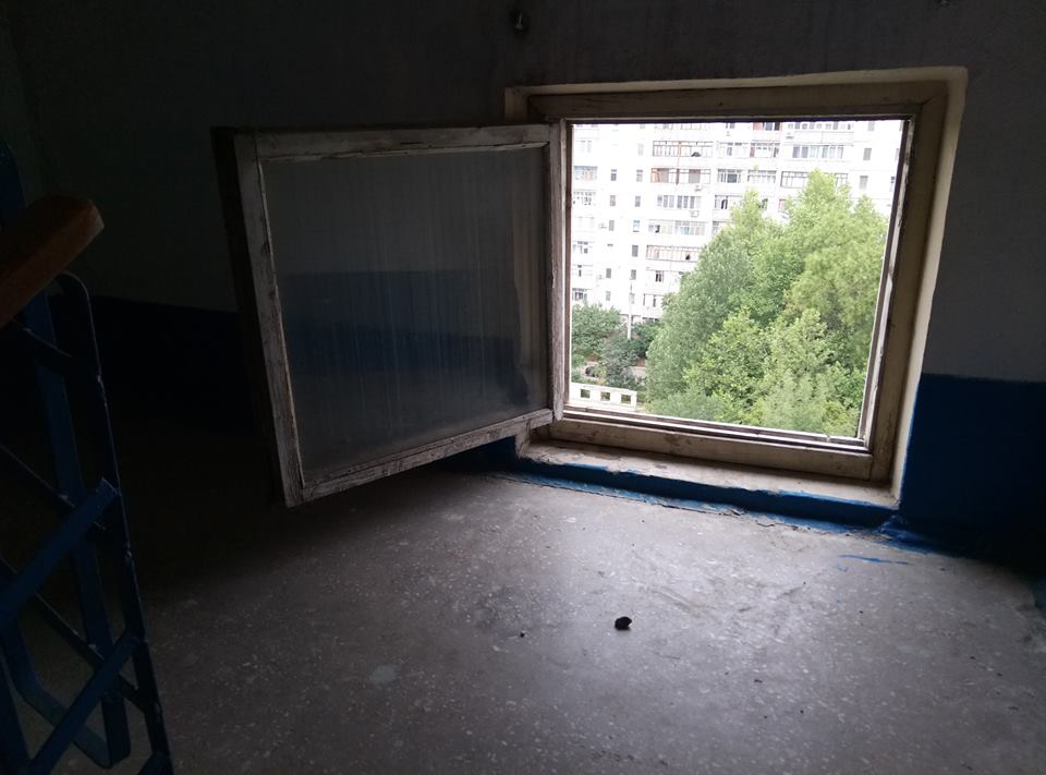 В Корабельном районе неизвестные выбросили бездомную собаку с 9-го этажа | Корабелов.ИНФО image 2