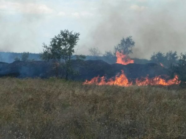 9 одиниць техніки, 54 чоловіка особового складу та місцеві мешканці гасили пожежу поблизу Галицинівських дач | Корабелов.ИНФО image 4