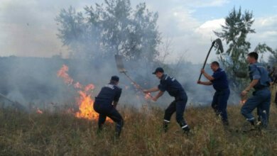 9 одиниць техніки, 54 чоловіка особового складу та місцеві мешканці гасили пожежу поблизу Галицинівських дач | Корабелов.ИНФО image 6
