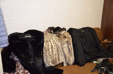 Поліцейські затримали групу квартирних крадіїв з Грузії, що "обчищали" домівки у різних районах Миколаєва (ВІДЕО) | Корабелов.ИНФО image 13