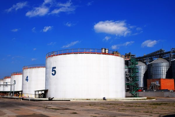 Порт "Ника-Тера" приступил к перевалке нового вида грузов | Корабелов.ИНФО image 3