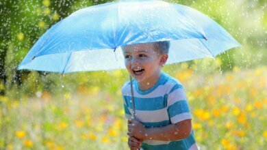 Синоптики обещают николаевцам кратковременные дожди на 6 августа | Корабелов.ИНФО