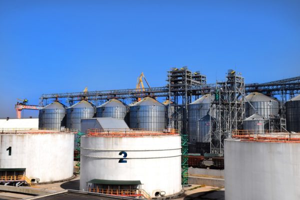 Порт "Ника-Тера" приступил к перевалке нового вида грузов | Корабелов.ИНФО image 4