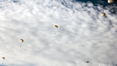 Николаевские десантники отработали парашютные прыжки на воду | Корабелов.ИНФО image 1