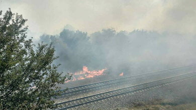 В Витовском районе пылают масштабные пожары на открытой территории - горят трава и деревья | Корабелов.ИНФО